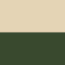 Special Livery Type B