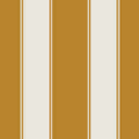 Special Livery Type B